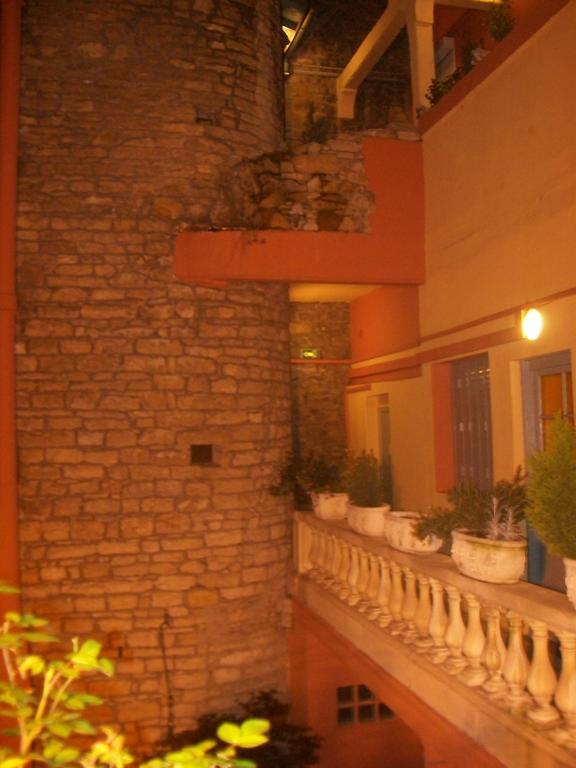 ホテル Au Patio Morand リヨン エクステリア 写真